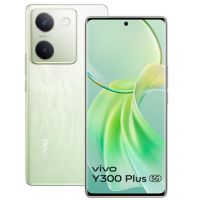 Vivo Y300 Plus