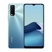 Vivo Y20G