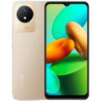 Vivo Y02T