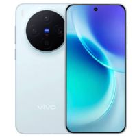Vivo X300 5G