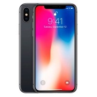 Apple iPhone X Back Panel Cover